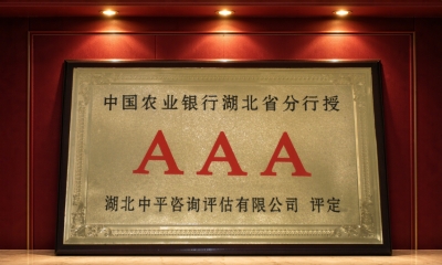 AAA Credit Rating Certification