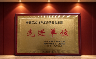 Zengdu District 2018 Economic Contribution Award