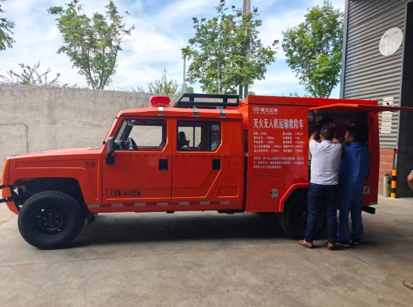 Rear flip-up doors and access ladder